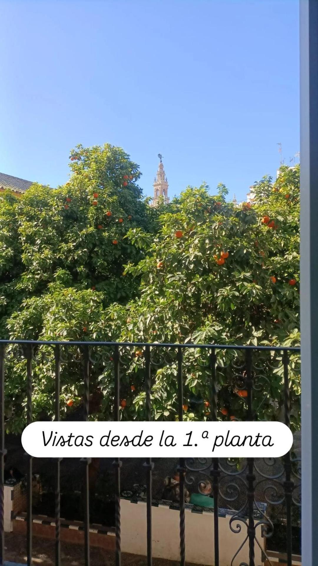 Apartamentos En La Plaza Dona Elvira, 7 Sewilla Zewnętrze zdjęcie
