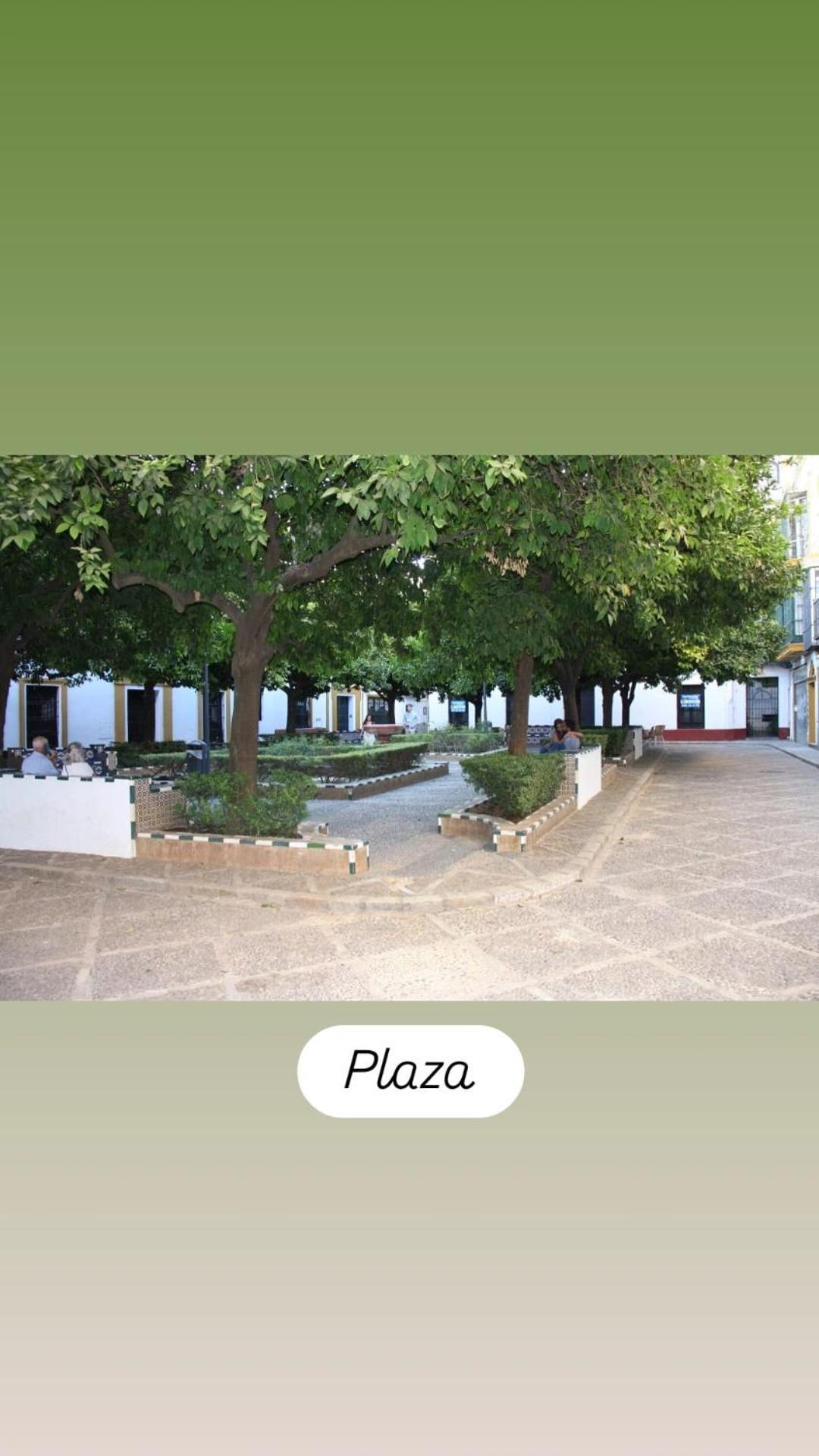 Apartamentos En La Plaza Dona Elvira, 7 Sewilla Zewnętrze zdjęcie
