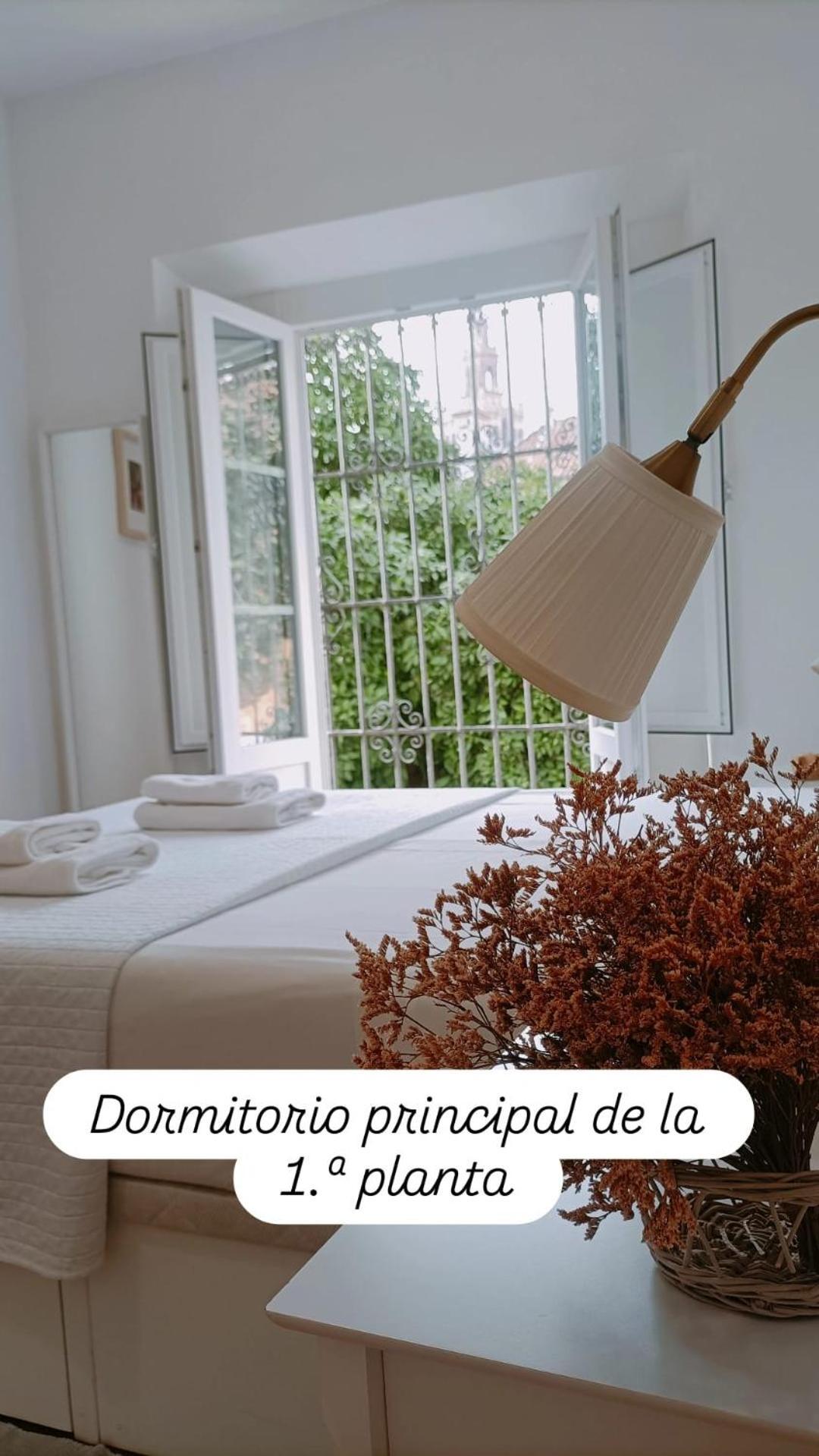 Apartamentos En La Plaza Dona Elvira, 7 Sewilla Zewnętrze zdjęcie